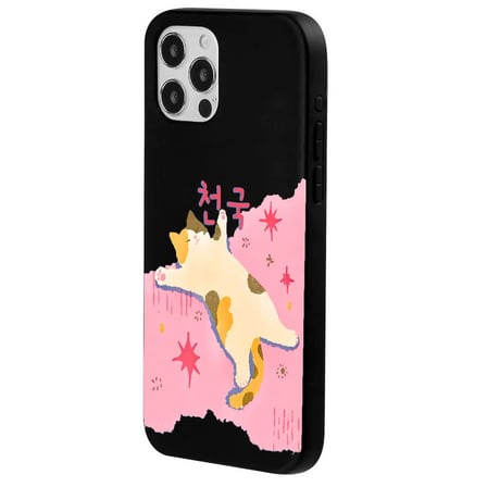 iPhone 14 Pro Siyah Cat Sleeping Kamera Korumalı Premium Lansman Renkli Silikon Kılıfı
