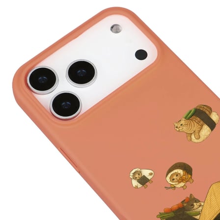 iPhone 17 Pro Max Turuncu Kedi Tasarımlı Gimbap Cat Renkli Silikon Telefon Kılıfı