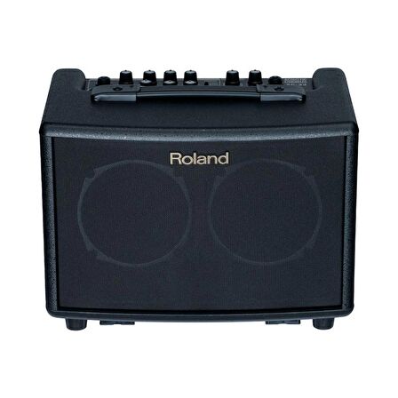 ROLAND AC-33 (M) 30 Watt Akustik Enstrüman Amfisi