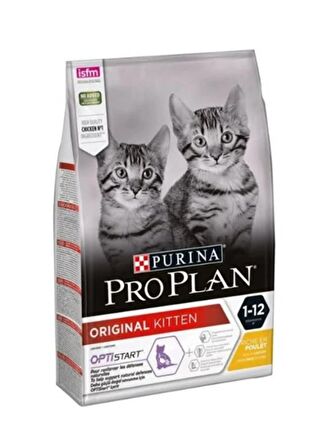 Pro Plan Kitten Tavuklu Yavru Kedi Maması 10 Kg