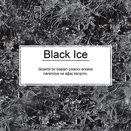 Little Trees Black Ice Asma Oto Kokusu