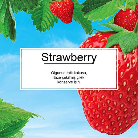 Little Trees Strawberry Çilek Aromalı Asma Oto Kokusu