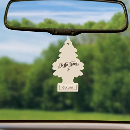 Little Trees Coconut Hindistan Cevizi Aromalı Asma Oto Kokusu