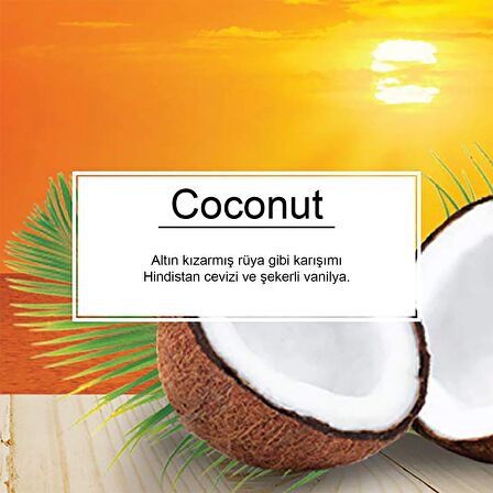 Little Trees Coconut Hindistan Cevizi Aromalı Asma Oto Kokusu