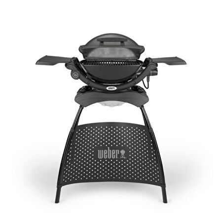 Weber Q 1400 Stand