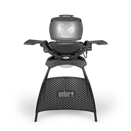 Weber Q 1400 Stand