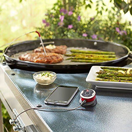 Weber iGrill Mini - 7220