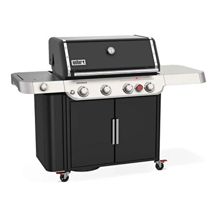 Weber GENESIS E-435 - 36410075