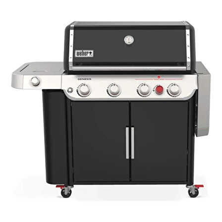 Weber GENESIS E-435 - 36410075