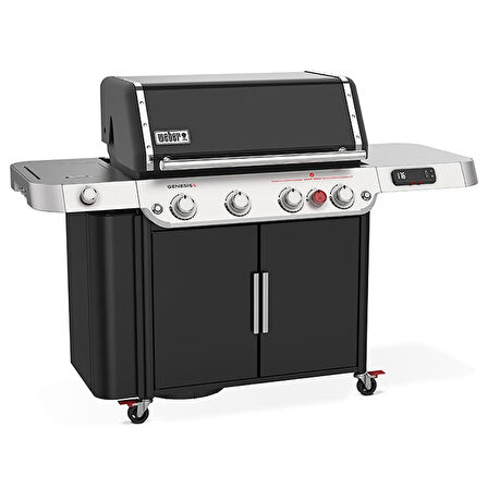 Weber GENESIS EPX-435 - 36810075