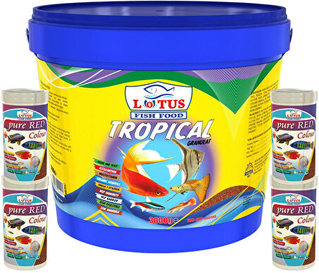 Lotus Tropikal Mix 3Kg Kova, 4x100ml Pure Red Colour Cips Lepistes Melek Moli Canlı Doğuran Akvaryum Balık Yemi