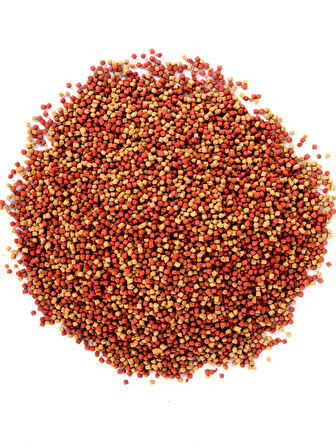 Amore Japon Balığı Yemi 125ml Goldy Mix, 60gr Soffice Elyaf