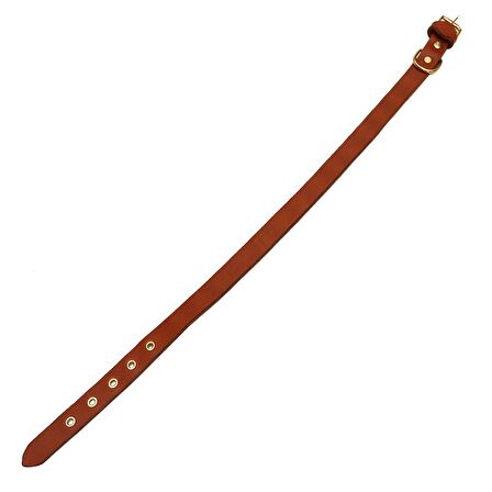 Tengri Handmade Deri Köpek Tasması Açık Kahve L (46-55 CM) Cl-Te-T-L