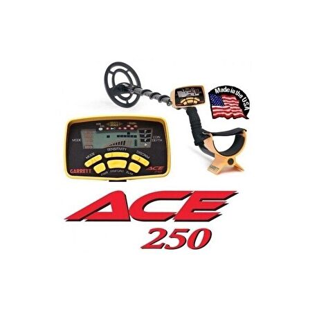 Garrett ACE 250