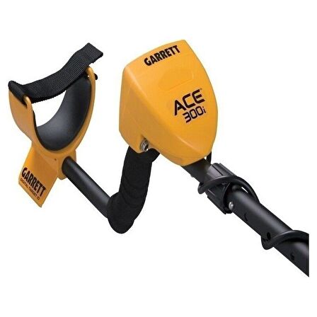 Garrett ACE 300i