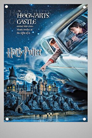 Harry Potter Duvar Poster Film 1 2 3 4 5 6 7