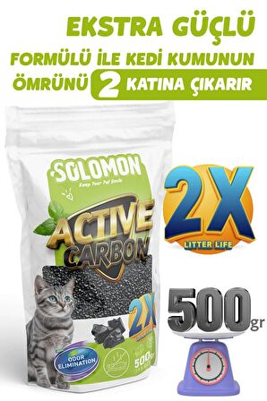 Active Carbon Kedi Kumu Koku Giderici 500 GR