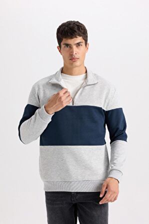 DeFacto Comfort Regular Fit Rahat Kalıp Dik Yaka Fermuarlı Çizgili Kalın Sweatshirt D2401AX24AUGR389