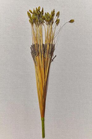 Paşabahçe Grass 75 Cm