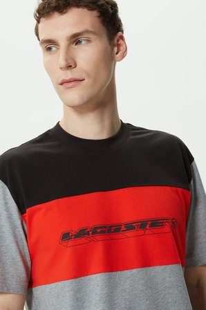 Lacoste Men's Relaxed Fit Crew Neck T-Shirt Erkek Rahat Kesim Bisiklet Yaka Renk Bloklu Pamuklu Tişört 