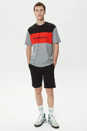 Lacoste Men's Relaxed Fit Crew Neck T-Shirt Erkek Rahat Kesim Bisiklet Yaka Renk Bloklu Pamuklu Tişört 