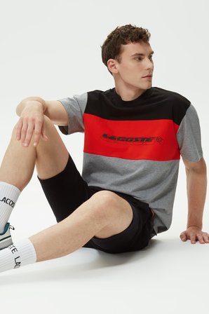Lacoste Men's Relaxed Fit Crew Neck T-Shirt Erkek Rahat Kesim Bisiklet Yaka Renk Bloklu Pamuklu Tişört 