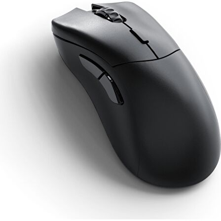 Model D 2 PRO 1K Polling Siyah Kablosuz RGB Oyuncu Mouse