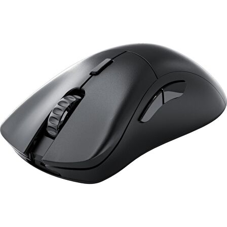 Model D 2 PRO 1K Polling Siyah Kablosuz RGB Oyuncu Mouse