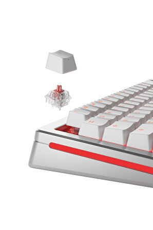 Glorious Fox Ultralight Yağlı Klavye Switch 110 Adet
