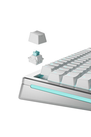 Glorious Lynx Hall Effect Mekanik Klavye Switch 36 Adet
