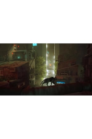 Stray Nintendo Switch