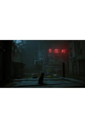 Stray Nintendo Switch