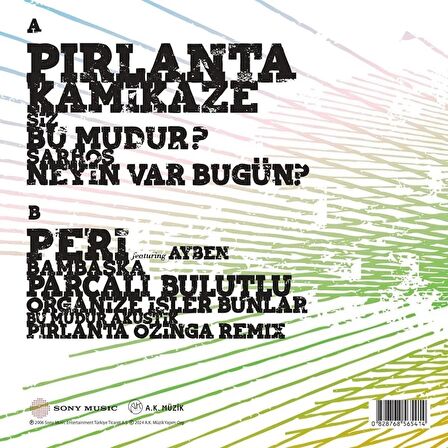 PLAK - Nil Karaibrahimgil - Tek Taşımı Kendim Aldım
