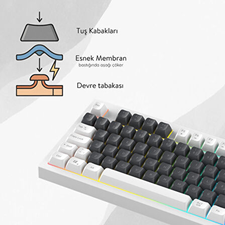 Everest KB-98 SILENT TKL Gri Mavi/Beyaz Rainbow Q Membrane Klavye