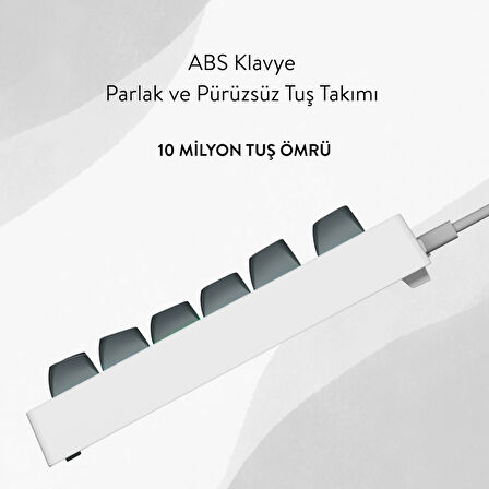 Everest KB-98 SILENT TKL Gri Mavi/Beyaz Rainbow Q Membrane Klavye