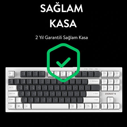 Everest KB-98 SILENT TKL Gri Mavi/Beyaz Rainbow Q Membrane Klavye
