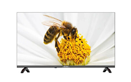 42HS24000 42" 106 Ekran Uydu Alıcılı Full HD Smart Android TV