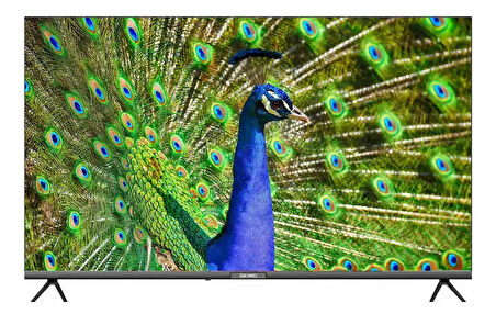 50HS24000 50" 126 Ekran Uydu Alıcılı Full HD Smart Android TV
