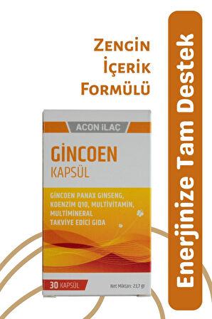 GİNCOEN 30 KAPSÜL