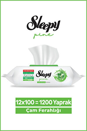 Sleepy Pine Yüzey Temizlik Havlusu&Mendili Çam Ferahlığı 12x100 (1200 Yaprak)