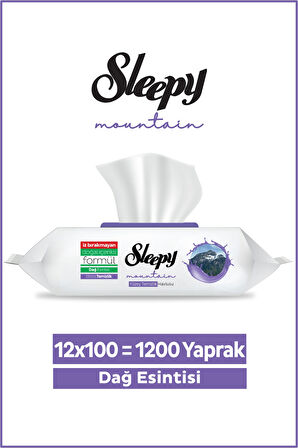 Sleepy Mountain Yüzey Temizlik Havlusu&Mendili Dağ Esintisi 12x100 (1200 Yaprak)