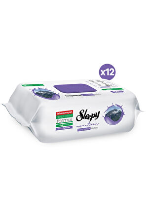 Sleepy Mountain Yüzey Temizlik Havlusu&Mendili Dağ Esintisi 12x100 (1200 Yaprak)