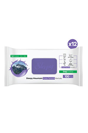 Sleepy Mountain Yüzey Temizlik Havlusu&Mendili Dağ Esintisi 12x100 (1200 Yaprak)