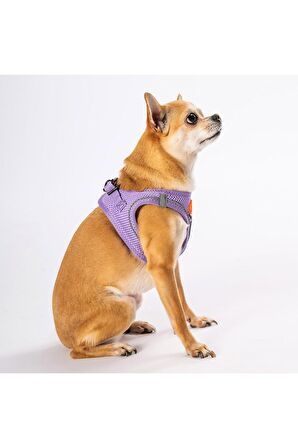 Pawstar Lila Air-mesh Göğüs Tasması Kedi Köpek Göğüs Tasması 2XSmall