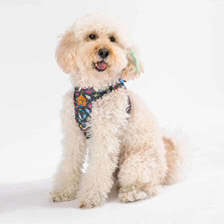 Pawstar Air-Mesh Dino Köpek Göğüs Tasması