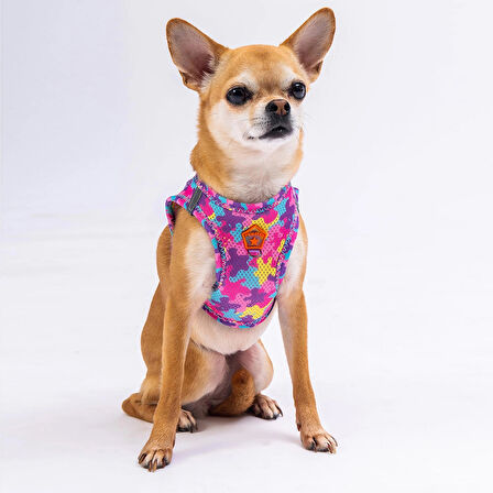 Pawstar Air-Mesh Rosea Camouflage Köpek Göğüs Tasması