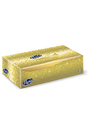 Papia Maxi Kutu Mendil 80 Yaprak x 24 Pkt 5036720