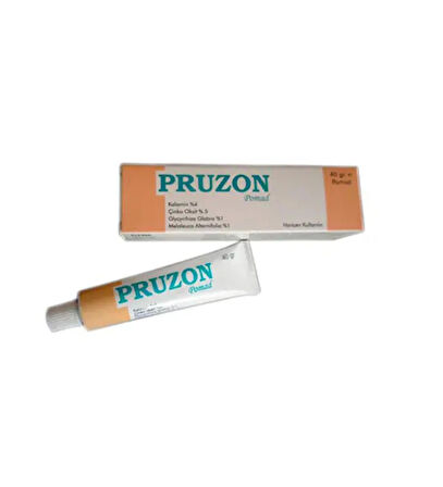 Pruzon