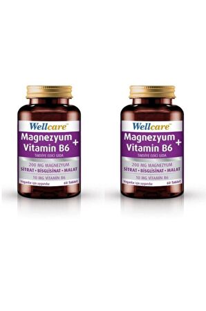 Wellcare Magnezyum + Vitamin B6 60 Tablet 2 Kutu 