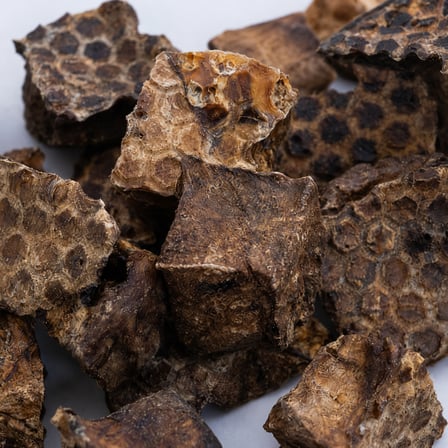 chompo dana ciğer küp köpek ödül maması  katkısız 100 gr